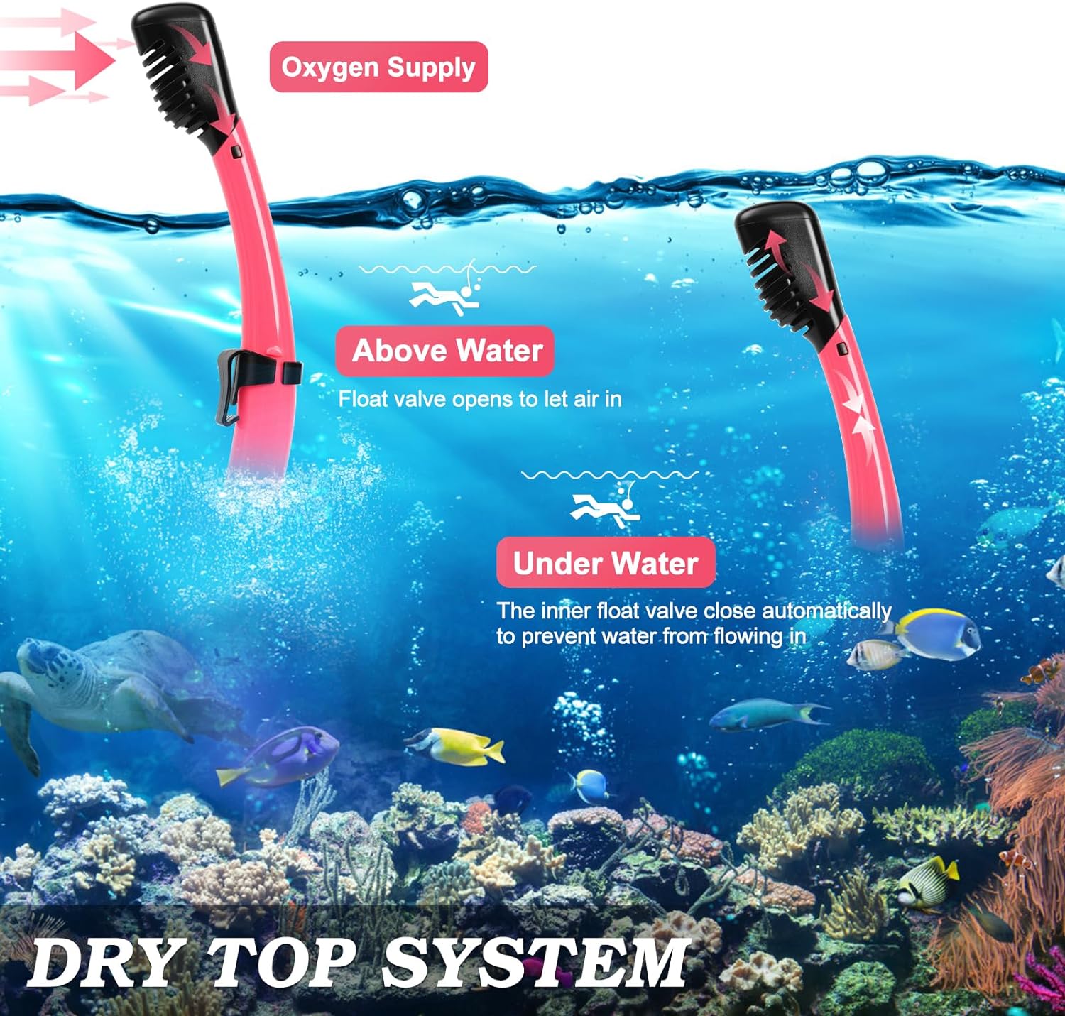 Snorkeling Gear for Adults, Dry Top Snorkel Mask Set 2 Pack Scuba Diving Mask Snorkel Gear Anti Fog Snorkeling Packages Tempered Glass Panoramic View