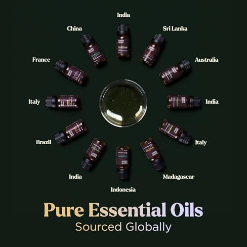 Essential Oils Set - 12 Pcs Premium Grade Home Essentials Oils - for Diffusers, Fragrance, Scents for Candle Making, Soap, Slime - Natural Aromatherapy Oils for Skin & Hair - Home, Office, Car