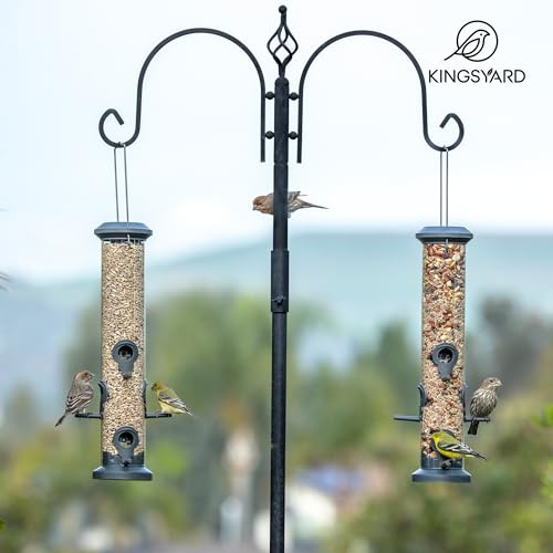 Kingsyard 2 Pack Tube Feeders with 6 Feeding Ports for Outdoors Hanging, Premium Hard Plastic Weatherproof & Steel Hanger, Attracting for Wild Birds (Black)