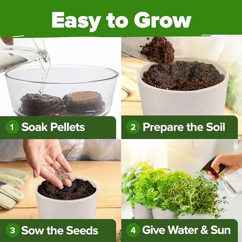 HOME GROWN Indoor Herb Garden Starter Kit - Christmas Gift for Gardeners - Complete 5 Herb Plant Grow Kit - Unique Gift for Mom, Women, Her, Men