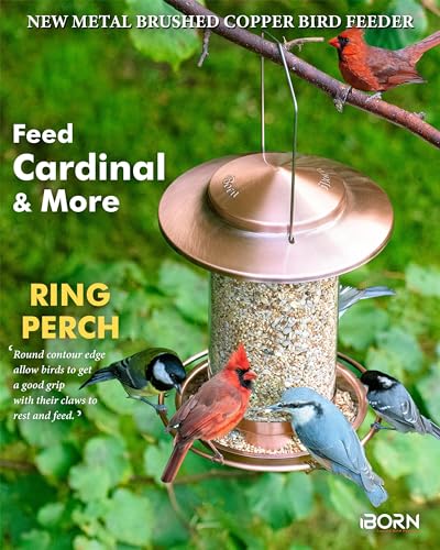 iBorn Metal Bird Feeder for Outside Hanging,Wild Bird Feeders for Cardinal,18cm Large Roof&Tray Brushed Copper 6 Port (Seed is not Included)