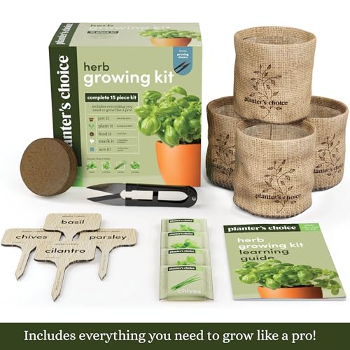 Indoor Herb Garden Starter Kit - Coolest Gifts for Women - Birthday Gifts for Her - House Warming Gift New Home for Plant Lovers - Womens, Wife, Mom Gifts - House Plants- Gardening Herbs Plants Live