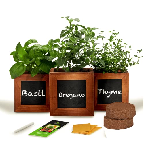 Indoor Herb Garden Kit - includes 3 Wooden Herb Pots, Internal drip Trays, Soil Pellets, Chalk, Instructions Booklet and Basil, Oregano & Thyme Non GMO Herb Seeds. DIY Kitchen Herbs Growing Kit.…