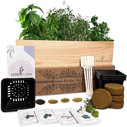 Indoor Herb Garden Kit, 4 Non-GMO Seeds with Reusable Pots, Planter – Wood Planting Box for Kitchen Windowsill with Basil, Parsley, Cilantro, Thyme - Easy DIY Indoor Plant Starter Gifts