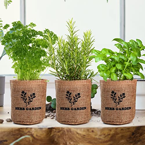 Indoor Herb Grow Kit, 5 Seeds Garden Starter Kit with Complete Planting & Wooden Flower Box, Growing into Basil, Parsley, Rosemary, Thyme, Mint for Kitchen Windowsill DIY