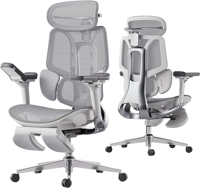 Hbada E3 Ergonomic Office Chair with Dynamic Support