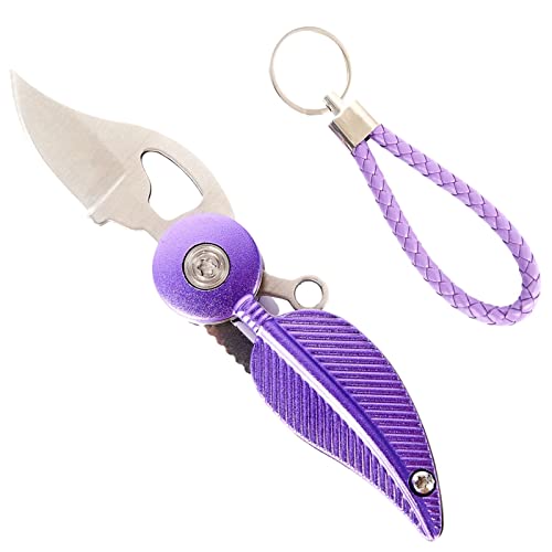 CHJIANAO Pocket Knife Womens with Chain,Small Pocket Knife,Cool Knives,Cool Gadgets,Edc Knife,Mini Pocket Knife,Cute Key Accessories(Purple)