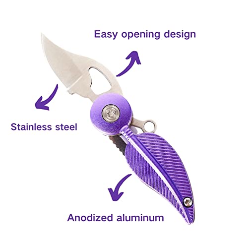 CHJIANAO Pocket Knife Womens with Chain,Small Pocket Knife,Cool Knives,Cool Gadgets,Edc Knife,Mini Pocket Knife,Cute Key Accessories(Purple)