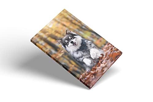 Custom Canvas Prints With Your Photos,Personalized Pictures On Canvas Wall Art for Bedroom, Living Room, Wedding Baby Pet Family Picture Framed Wall Art (5"W x 7"H) - Gift Wrapping Available