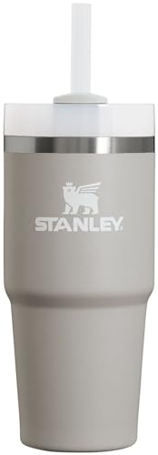 Stanley Quencher H2.0 FlowState Stainless Steel Vacuum Insulated Tumbler with Lid and Straw for Water, Iced Tea or Coffee, Smoothie and More, Ash, 14oz