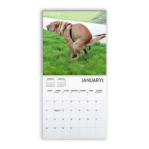 Dog Pooping Calendar 2024, 12 x 12 inch, Funny Gift, White Elephant, Gag Gift, Secret Santa