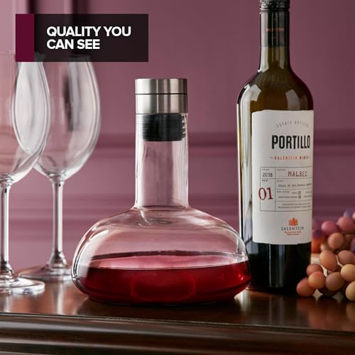 Modern Innovations Red Wine Decanter with Aerator Lid, Best Wine Decanter Gift Kit for Wine Lovers, Double Decanter Set for Wine, Wine Breather Carafe Decanter, Aerating Decanter, Glass Wine Saver