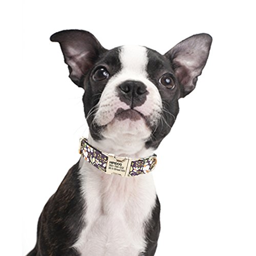 hipidog Personalized Dog Collar, Custom Engraving with Pet Name and Phone Number, Adjustable Tough Nylon ID Collar, Matching Leash Available Separately (Black Purple Flower)