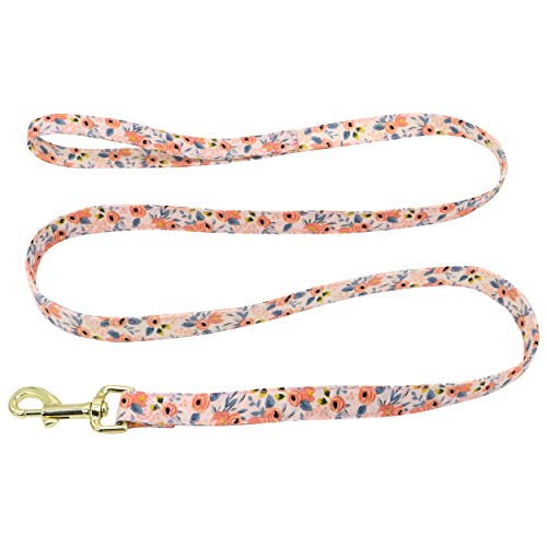 Beirui Custom Flower Girl Dog Collar and Leash Set for Female Dogs- Floral Pattern Engraved Pet Collars with Personalized Gold Buckle(Orange Pattern,S)