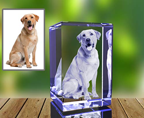 Personalized Photo Gift | 3D Engraved Crystal Keepsake | Gift | Décor | Collectible| Souvenir | Dogs Or Cats Personalized Photo Frame