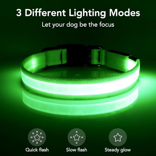 Vizpet LED Dog Collar, Light Up Dog Collar Adjustable USB Rechargeable Super Bright Safety Light Glowing Collars for Dogs(Large,Green)