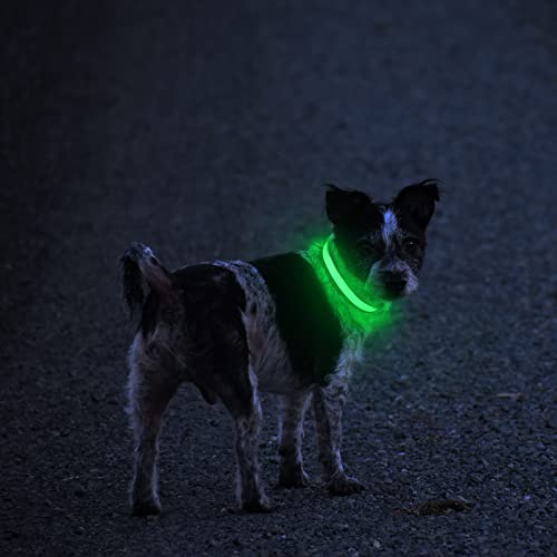 MASBRILL LED Dog Collar,Night Light Up Collar Dog DC Rechargeable Waterproof Durable Glowing Dog Collar 4 Colors for Choice (M, Green)