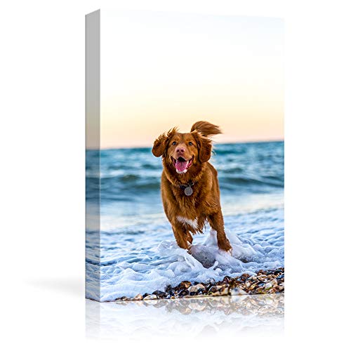 NWT Custom Canvas Prints with Your Photos for Pet/Animal, Personalized Canvas Pictures for Wall to Print Framed 14x11 inches