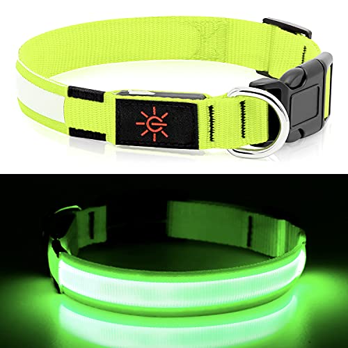 LED Dog Collar- Light up Dog Collars, LED Collar Waterproof, Adjustable Flashing Dog Collar, Rechargeable Dog Collar Visiblity & Safety for Your Dogs (Green, Large)