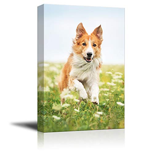 SIGNFORD 18"x12" Custom Canvas Prints, Pets Personalized Poster Wall Art with Your Photos Wood Frame Digitally Printed