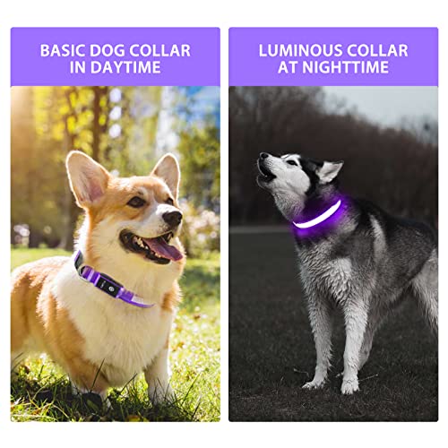 PcEoTllar Light up Dog Collar for Night Walking - LED Dog Collar Light Rechargeable Color Changing, Glow in The Dark Dog Collars Waterproof Glowing Dog Collars for Large Small Medium Dogs