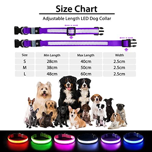 PcEoTllar Light up Dog Collar for Night Walking - LED Dog Collar Light Rechargeable Color Changing, Glow in The Dark Dog Collars Waterproof Glowing Dog Collars for Large Small Medium Dogs