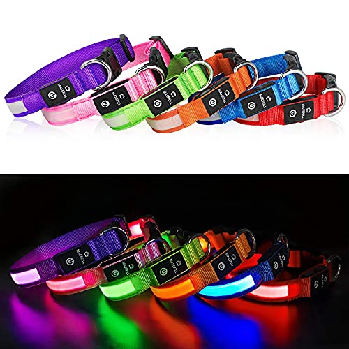 MASBRILL LED Dog Collar,Night Light Up Collar Dog DC Rechargeable Waterproof Durable Glowing Dog Collar 4 Colors for Choice (M, Green)