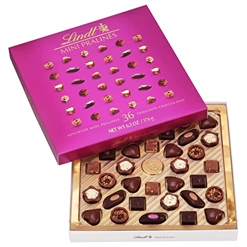 Lindt Mini Pralines, Assorted Chocolate Pralines with Premium Filling, Great for gift giving, 6.2 oz Box