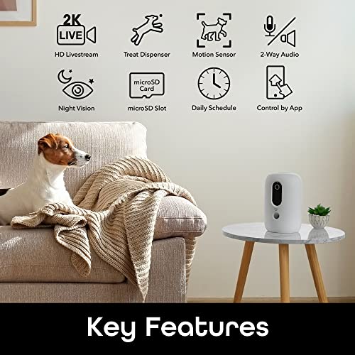 Geeni PetConnect Treat + Cam, Smart Treat Dispenser with Smart Home Pet Camera, Timer & Voice, Automatic Dog or Cat Feeder, Compatible with Alexa & Google