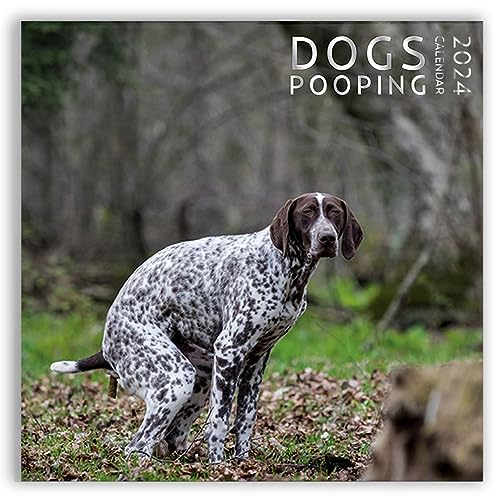 Dog Pooping Calendar 2024, 12 x 12 inch, Funny Gift, White Elephant, Gag Gift, Secret Santa