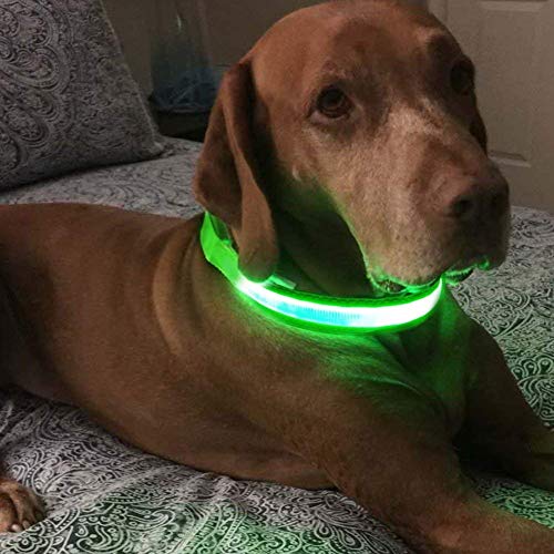 MASBRILL LED Dog Collar,Night Light Up Collar Dog DC Rechargeable Waterproof Durable Glowing Dog Collar 4 Colors for Choice (M, Green)