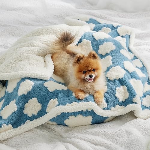 Lesure Waterproof Puppy Blanket for Small Dogs - Washable Double Sided Dog Blankets with Warm Jacquard Shag and Soft Sherpa Fleece, Pet Cat Blanket for Couch Protection, 3D Textured Cloud, Blue