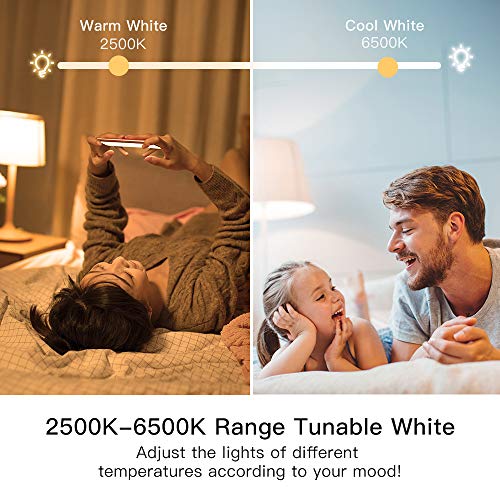 TREATLIFE Smart Light Bulbs 4Pack, 2500K-6500K Tunable White Dimmable LED Light Bulb Compatible with Alexa and Google Home, 2.4GHz WiFi Smart Bulb, 800LM, E26 A19 9W, No Hub Required