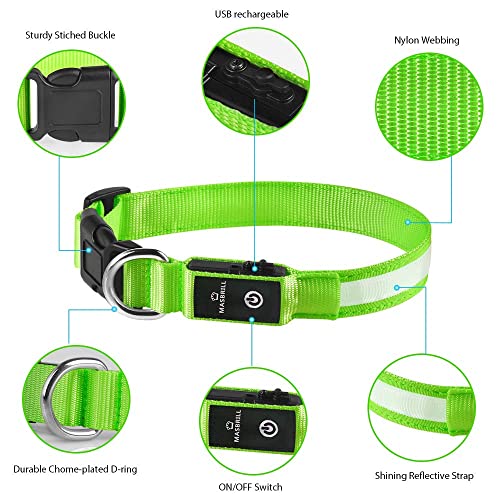 MASBRILL LED Dog Collar,Night Light Up Collar Dog DC Rechargeable Waterproof Durable Glowing Dog Collar 4 Colors for Choice (M, Green)