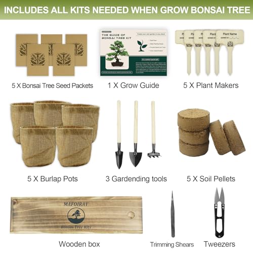 Bonsai Tree Kit, 5 X Unique Japanese Bonsai Trees, Include Bonsai Tree Seeds, Tools, Complete Indoor Bonsai Starter Kit for Growing Bonsai Plants, Gardening Gifts for Women & Men