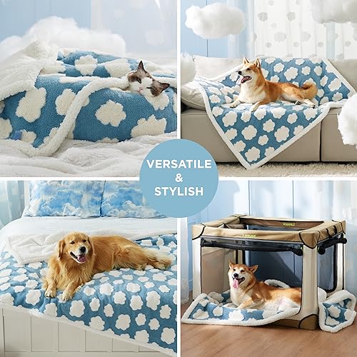 Lesure Waterproof Puppy Blanket for Small Dogs - Washable Double Sided Dog Blankets with Warm Jacquard Shag and Soft Sherpa Fleece, Pet Cat Blanket for Couch Protection, 3D Textured Cloud, Blue