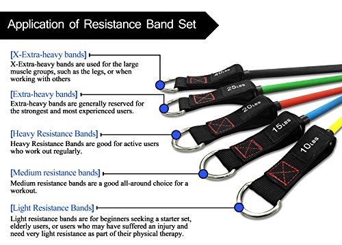 TheFitLife Exercise Resistance Bands with Handles - 5 Fitness Workout Bands Stackable up to 110/150 lbs, Training Tubes with Large Handles, Ankle Straps, Door Anchor Attachment, Carry Bag (110 LBS)