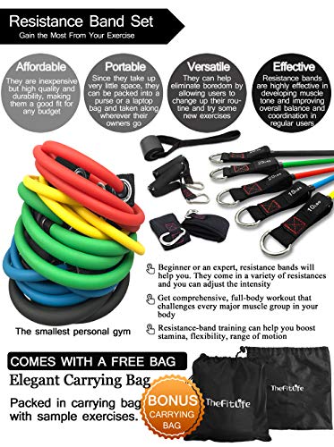 TheFitLife Exercise Resistance Bands with Handles - 5 Fitness Workout Bands Stackable up to 110/150 lbs, Training Tubes with Large Handles, Ankle Straps, Door Anchor Attachment, Carry Bag (110 LBS)