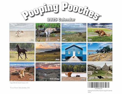 Pooping Pooches White Elephant Gag Gift Calendar