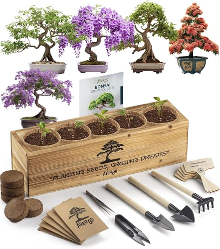 Bonsai Tree Kit – 5X Unique Japanese Bonzai Trees | Complete Indoor Starter Kit for Growing Plants with Bonsai Seeds, Tools & Planters – Gardening Gifts for Women & Men