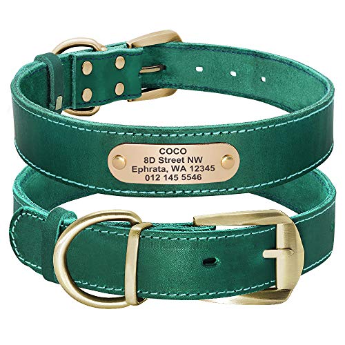 Didog Genuine Leather Dog Collars with Engraved Nameplate, Personalized Soft Leather Collar with Custom ID Tag, Brown/Green/Red for Medium Large Dogs (M,Green)