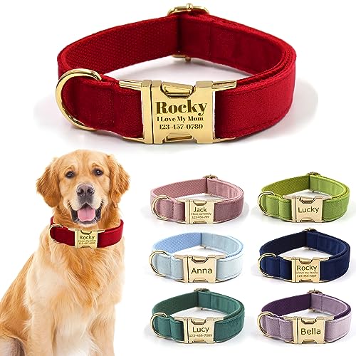 Custom Personalized Dog Collars with Pet Name/Phone Number Engraved Gold Metal Buckle - Adjustable Sizes Soft Thick Velvet Collar for Small Medium Large Dogs 4 Colors - Dog Leash and Bow Tie Available