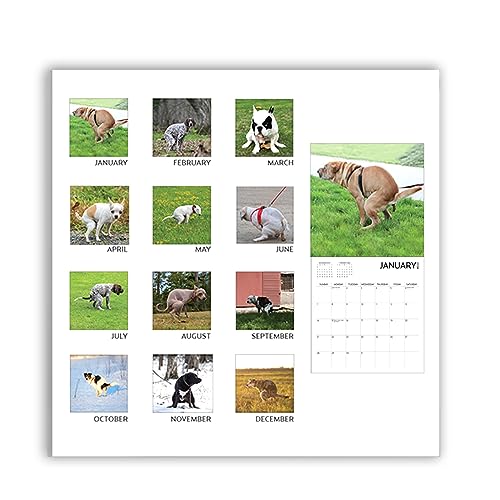 Dog Pooping Calendar 2024, 12 x 12 inch, Funny Gift, White Elephant, Gag Gift, Secret Santa