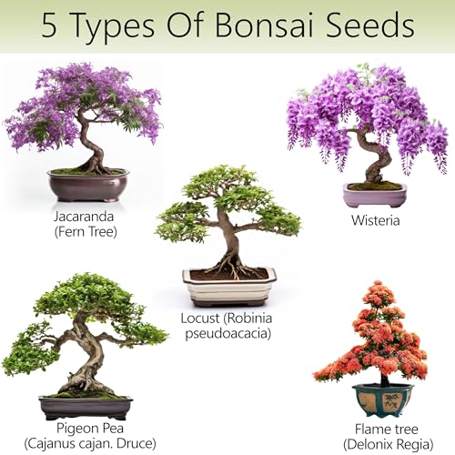 Bonsai Tree Kit – 5X Unique Japanese Bonzai Trees | Complete Indoor Starter Kit for Growing Plants with Bonsai Seeds, Tools & Planters – Gardening Gifts for Women & Men