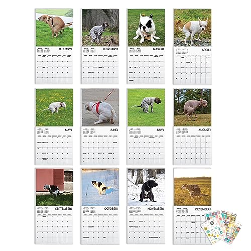 Dog Pooping Calendar 2024, 12 x 12 inch, Funny Gift, White Elephant, Gag Gift, Secret Santa