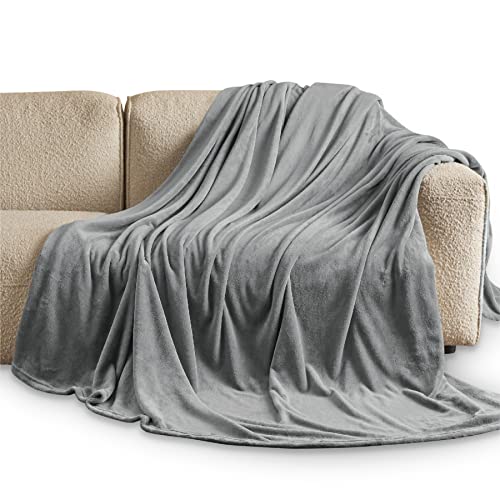 Bedsure Fleece Bed Blankets Queen Size Grey - Soft Lightweight Plush Fuzzy Cozy Luxury Blanket Microfiber, 90x90 inches