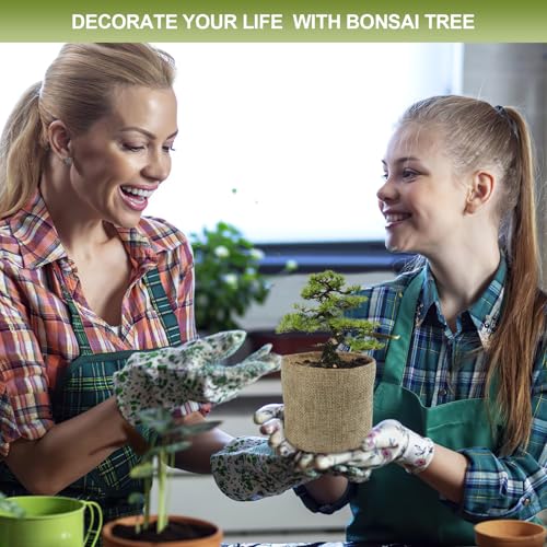 Bonsai Tree Kit, 5 X Unique Japanese Bonsai Trees, Include Bonsai Tree Seeds, Tools, Complete Indoor Bonsai Starter Kit for Growing Bonsai Plants, Gardening Gifts for Women & Men