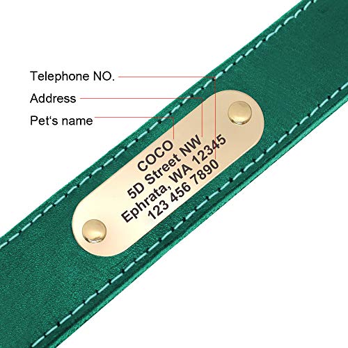 Didog Genuine Leather Dog Collars with Engraved Nameplate, Personalized Soft Leather Collar with Custom ID Tag, Brown/Green/Red for Medium Large Dogs (M,Green)