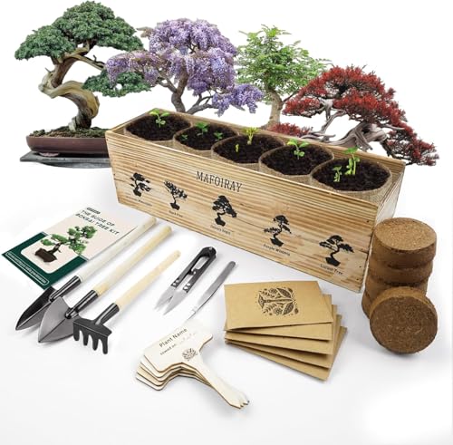 Bonsai Tree Kit, 5 X Unique Japanese Bonsai Trees, Include Bonsai Tree Seeds, Tools, Complete Indoor Bonsai Starter Kit for Growing Bonsai Plants, Gardening Gifts for Women & Men