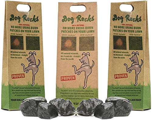 Dog Rocks Dog Pee Grass Neutralizer for Green Grass in 3-5 Weeks | Dog Grass Saver Rock | 100% Natural Urine Neutralizer for Lawn, Grass and Hedges | Grass Savers for Dog Urine | 600g, 6 Month Supply